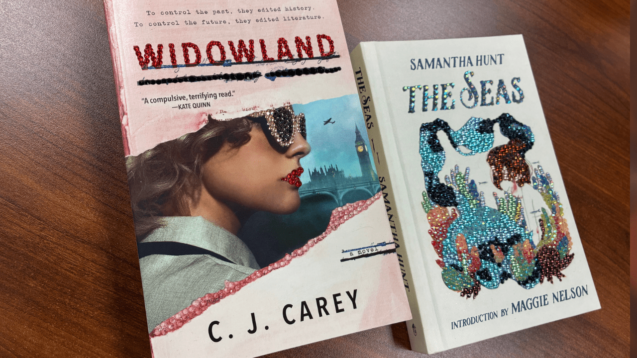 Read more about the article Adults Only: Book Bedazzling