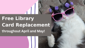 Cool cat relaxes in sunglasses.